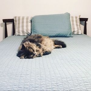 Meet your Posher, Jodie